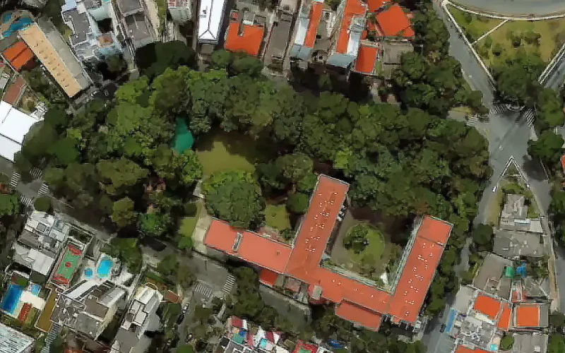 Ameaça ao Bosque dos Salesianos: derrubadas e a luta pela preservação