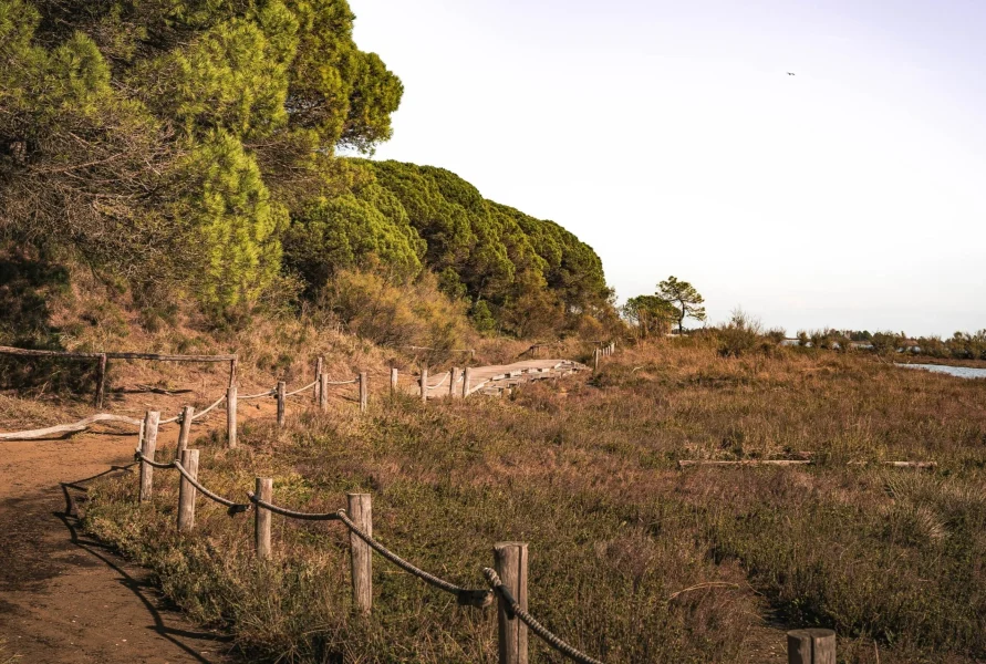 Burros são aliados na prevenção de incêndios florestais na Espanha