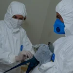 ICMBio intensifica controle sanitário após casos de circovírus em ararinhas-azuis