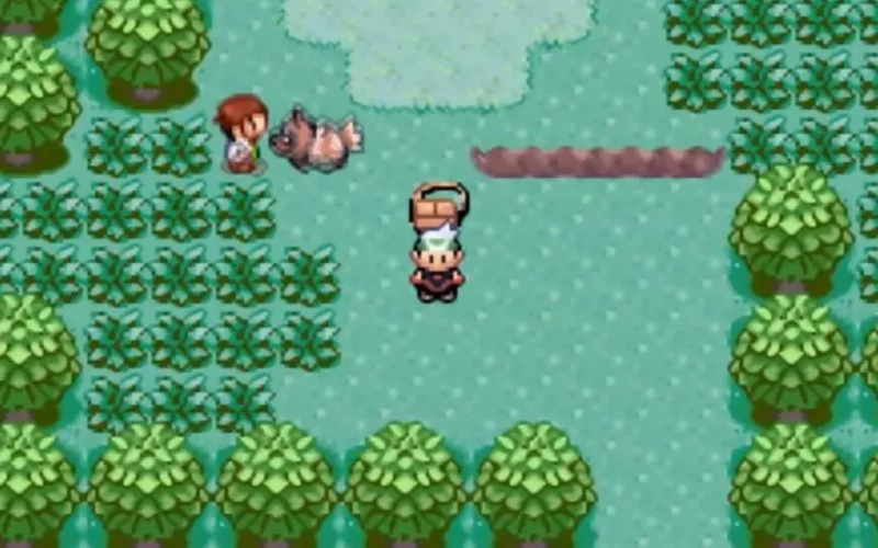 Pokémon Emerald Version