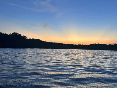 Desmatamento na Amazônia atinge o menor patamar em 41 anos, com 693 mil hectares