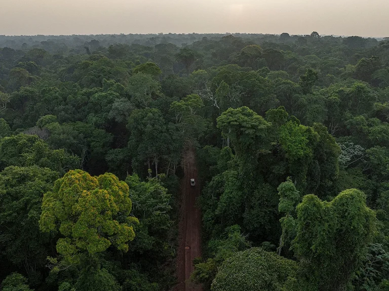 Desmatamento na Amazônia e Cerrado atinge menor nível histórico em 2026
