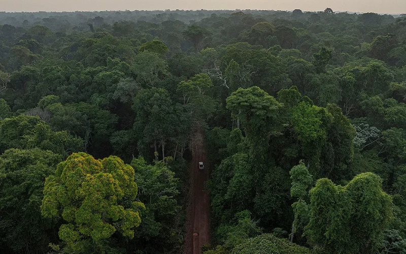 Desmatamento na Amazônia e Cerrado atinge menor nível histórico em 2026