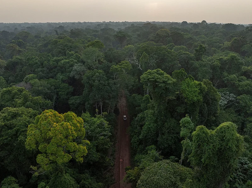 Desmatamento na Amazônia e Cerrado atinge menor nível histórico em 2026